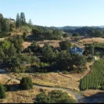 Aerial View of The Highlands Estate