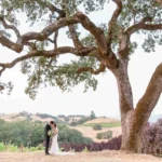 Oak Tree Wedding Venue