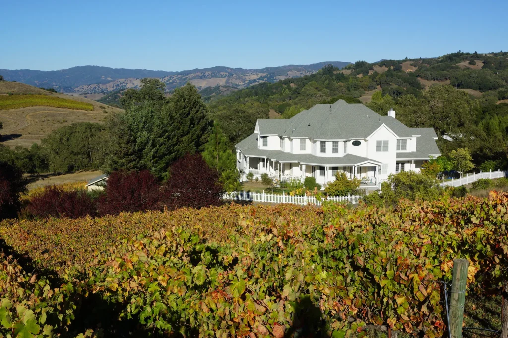 Vineyards looking to the Private Estate