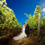 Vineyard Wedding